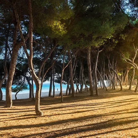 Mediterrania I Mallorca - By Emerald Villa