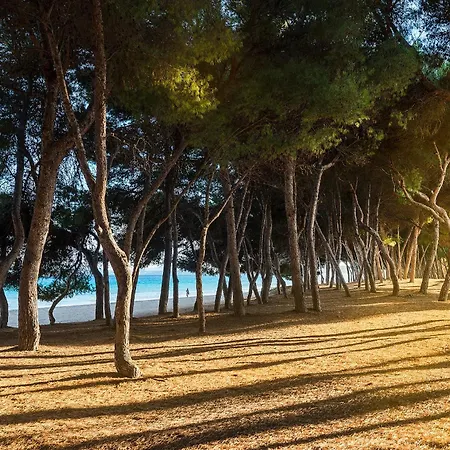 Mediterrania I Mallorca - By Emerald *